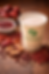 Red Vitality Soy Drink 气血豆浆